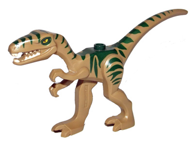 Dinosaur Coelophysis / Gallimimus