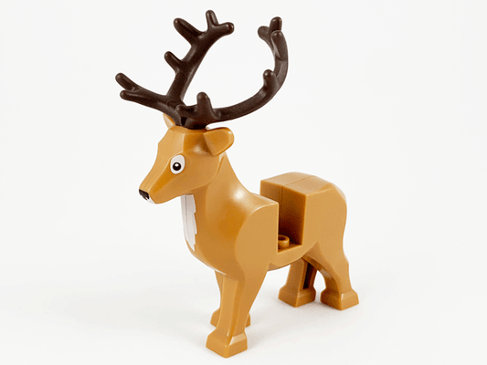 Reindeer / Stag