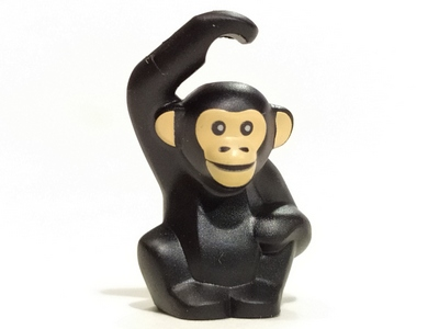 Monkey (Chimpanzee)